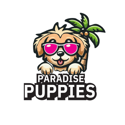 Puppyページです。 Home page – Paradise Puppies